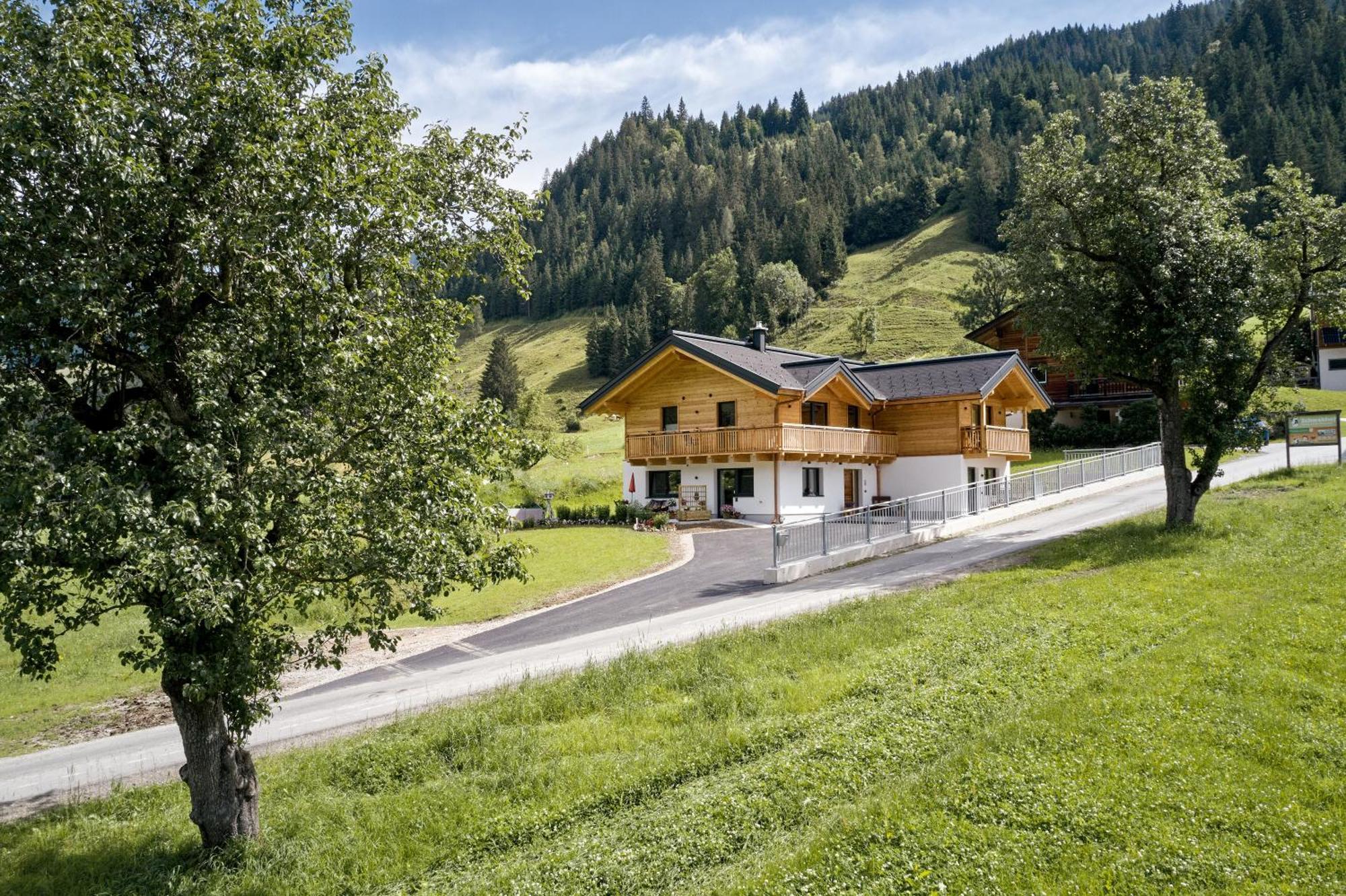 Ferienwohnungen Schwabhof Kleinarl Extérieur photo