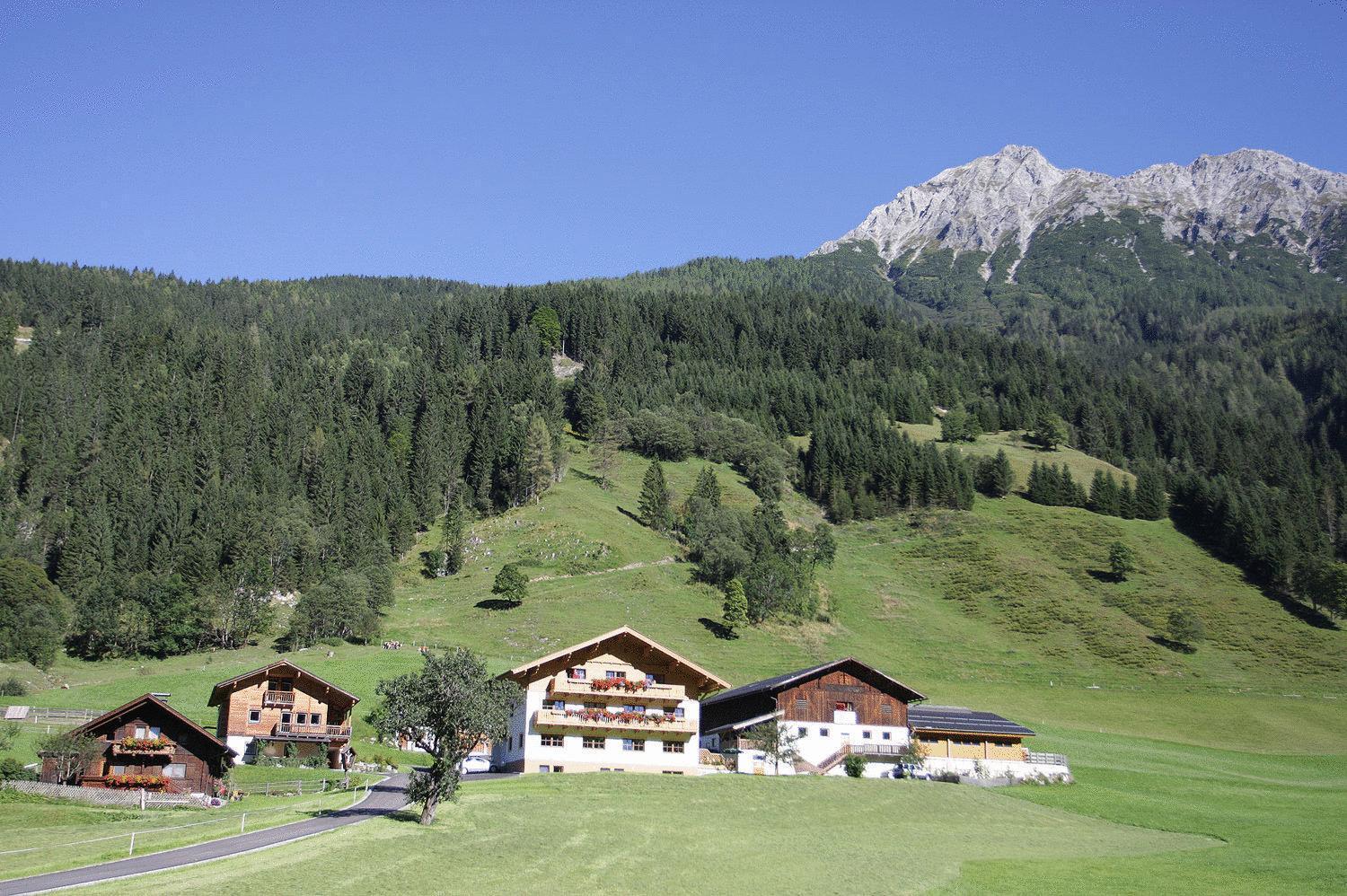 Ferienwohnungen Schwabhof Kleinarl Extérieur photo
